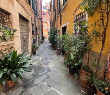 Carrara House | La casa dei Conti
