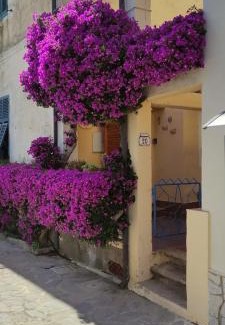 Cavo Apartment | La casa dei Nonni
