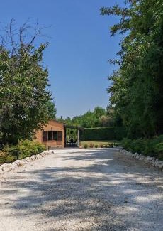 Filottrano House | La Casa del Bosco