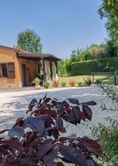 Filottrano House | La Casa del Bosco