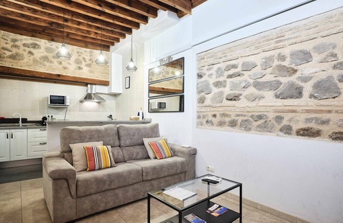 Toledo City Center Apartment | La Casa del Lirón by Toledo AP