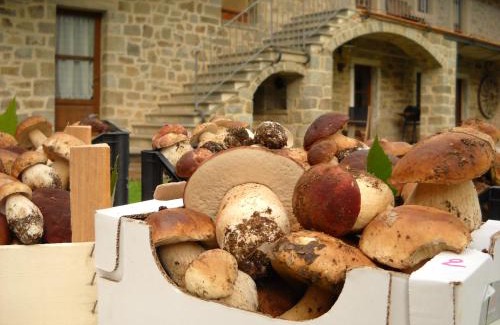 Pontremoli House | La Casa del Sarto - FedericoFarm