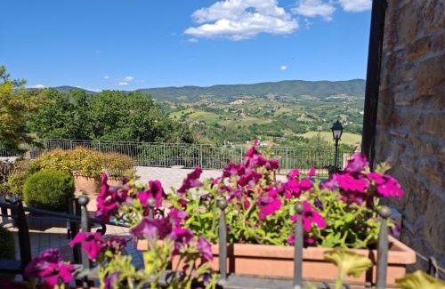 Gaglietole Apartment | la casa della nonna