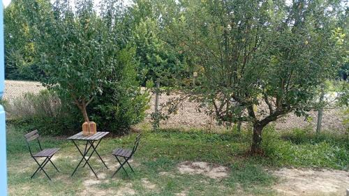 Martellago Bed & Breakfast | La Casa di Cristina