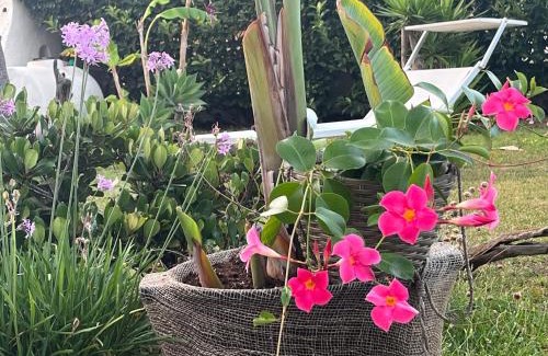 Maddalenedda Bed & Breakfast | La Casa di Nina