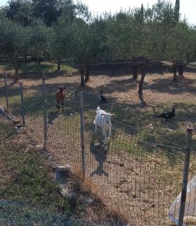 Latina House | la casa di simone