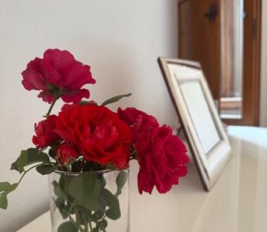 Serre di Rapolano Apartment | La Casa in Piazza