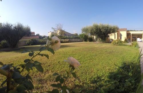 Millas House | La Casa Nert