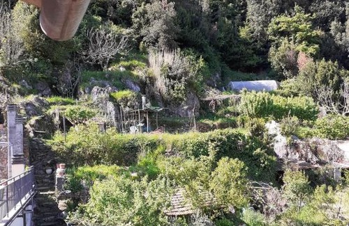 Pignone House | La Casa Torre