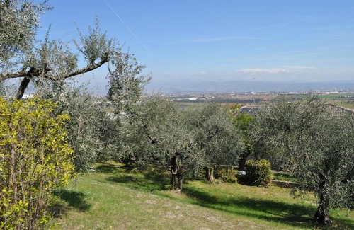 Sona House | LA CASA TRA GLI OLIVI