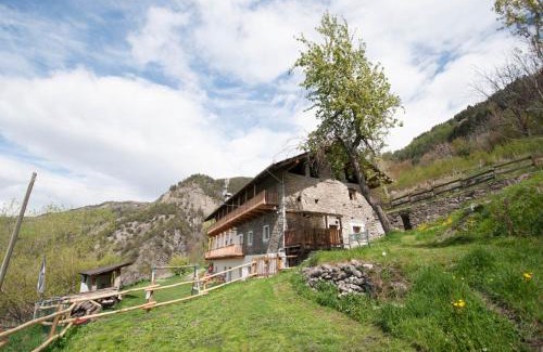 Saint-Pierre Apartment | La Cascina d'Orleans