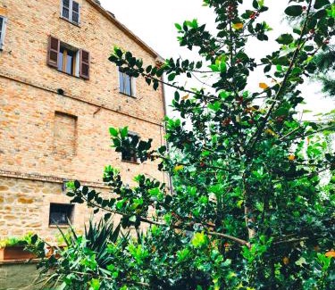 Monterosso Apartment | La Cascina di Muttley