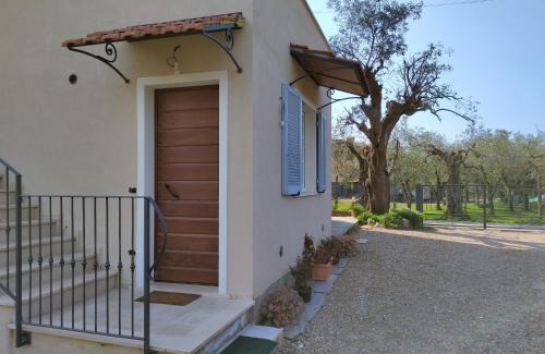 Querceta Apartment | La Casetta al mare