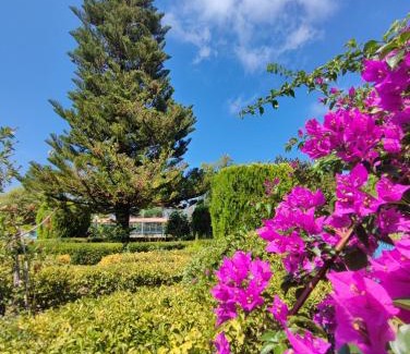 Falcone Apartment | La Casetta della Baia Blu