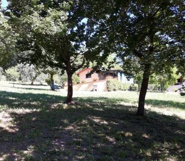Campestri Ski Chalet | La casetta nel prato