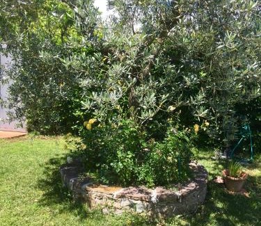 Mosciano Apartment | La Casina di Eleonora