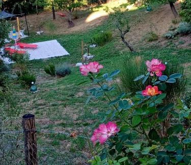 Salaiola Apartment | La Casina