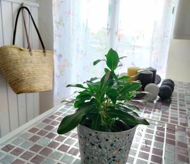 Fuenmayor House | La Casita de Ivanna