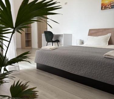 Constanta House | La Cer