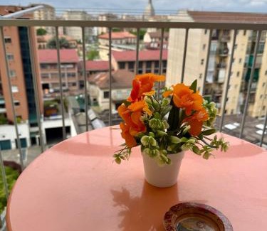 Vanchiglietta Apartment | La Coccinella Turin apartment