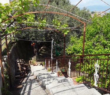 Centola Bed & Breakfast | La Collina su Palinuro