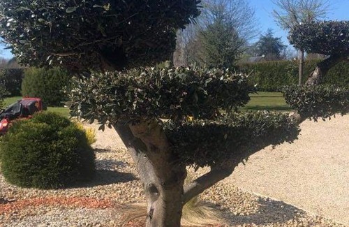 Dreffeac Bed & Breakfast | LA COTTINIERE