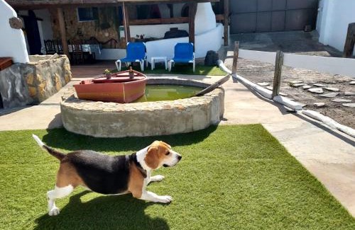 Buen Paso House | La cuadra de Juan