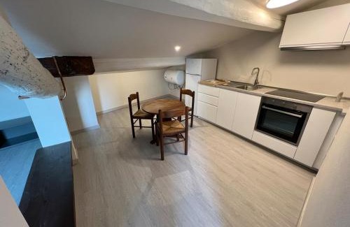 Pisa City Centre Apartment | La Dolce Vista Tower view Terrace