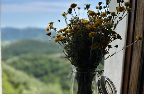 Camaiore Cottage | La Ghiandaia Monteggiori