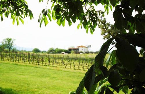 Orentano Bed & Breakfast | La Ginestra