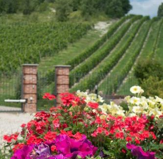Calamandrana House | La Giribaldina Winery & Farmhouse
