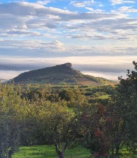 Solutre-Pouilly Bed & Breakfast | La Grange du bois