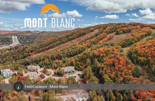 Saint-Faustin-Lac-Carre Apartment | La Halte Mont-Blanc Ski in out