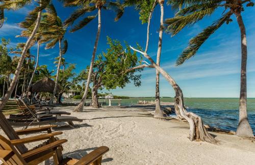 Islamorada Hotel | La Jolla Resort