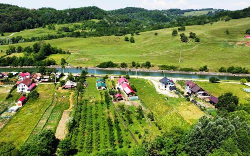 Valea Danului Villa | LA LIVADA
