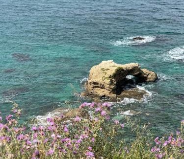 Villalfonsina Bed & Breakfast | La Locanda Del Re