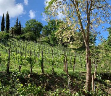 Frascinelle House | La Locanda di Campagna