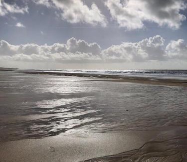 Les Conches House | La Longère des Surfeurs - Plage Bud Bud - Calme