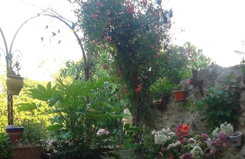 Ferrals-les-Corbieres House | La Maison De Josepha