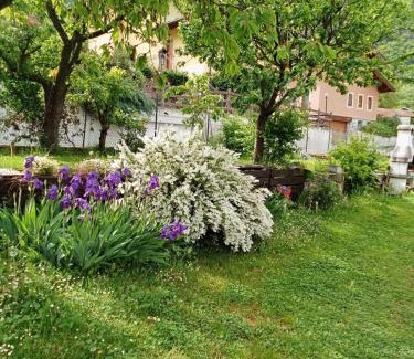 Barche Apartment | la maison des fleurs
