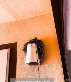 Capoliveri House | La Mandorla Salata