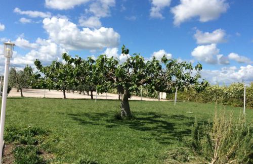 Stornara House | LA MASSARÌA agriresort
