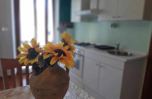 Senigallia Apartment | La meriggia Agriturismo- Ampio appartamento con terrazza esclusiva