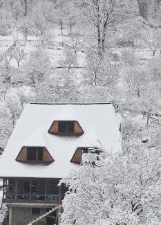 Birsana House | La Mona