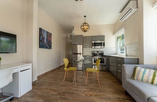 Parque Apartment | La Mona Suites 1 Bedroom Apartment with Rooftop Terrace