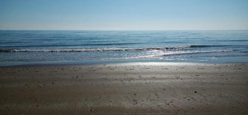 Salboro Apartment | LA NATURA AL MARE