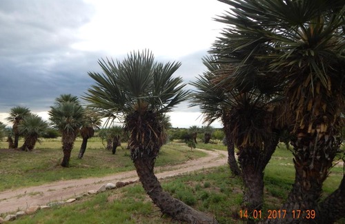 Chacabuco Department House | La Palmita