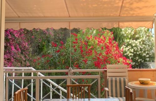 Ospedaletti Apartment | La Perla di Ponente