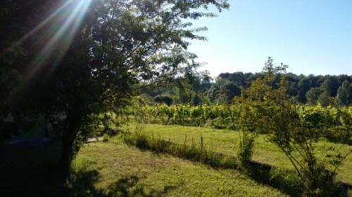 Comps Bed & Breakfast | La Petite Auberge