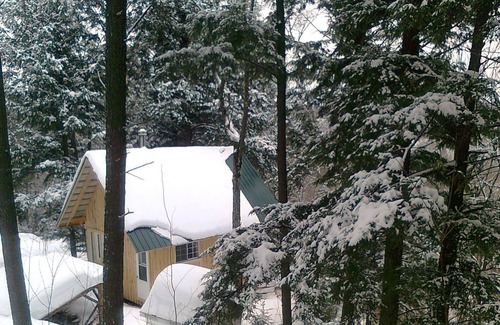 Sainte-Beatrix Cabin | La Petite Fleur